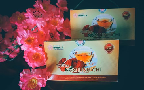 Sinh viên CNTP-SH ĐH Đông Á và những dự án khởi nghiệp từ giảng đường