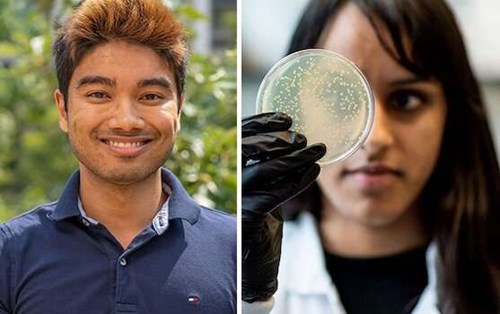 Tìm thấy protein chỉnh sửa gene mới ngoài CRISPR