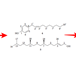 Anti-Inflammatory compounds from Vietnamese Piper bavinum