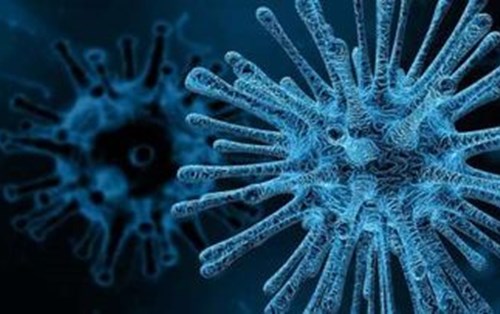 Chủng virus mới từ chợ gia cầm có khả năng gây đại dịch ? 