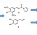 Identification of Anti-Inflammatory Constituents from Vietnamese Piper hymenophyllum