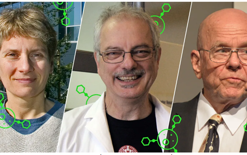 Giải Nobel Hóa học: Mở ra lĩnh vực mới đầy tiềm năng