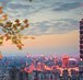 TB kêu gọi dự án chung Việt Nam - Đài Loan 2021