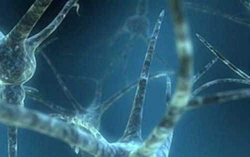 Liệu pháp gen sử dụng 'ngón tay kẽm' có thể giúp điều trị bệnh Alzheimer