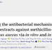 Investigating the antibacterial mechanism of Ampelopsis cantoniensis extracts against methicillin-resistant Staphylococcus aureus via in vitro and in silico analysis